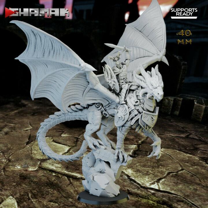 Wargames Compatible - Dragon Riders x 2